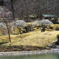 春の古峯神社