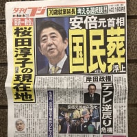 統一教会とはアメリカのこと【アメリカキリスト教原理主義福音派＝ニセユダヤ人問題】