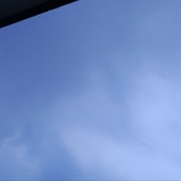 ちょっと曇ってきた？