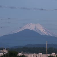 5月15日、富士山と田んぼ～♬