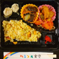 今日のお弁当