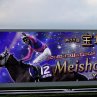 競馬場へ散歩