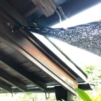 梅雨が明け、デッキの上に寒冷紗を懸ける