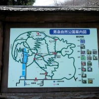 片栗など～男衾自然公園