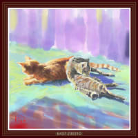 My cats(Riskichi & Orangebouzu) 6437／リス吉とオレンジ坊主 
