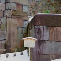 ●雪景色の玉泉院丸庭園と鼠多門　段落ちの滝　色紙短冊積石垣