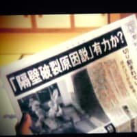 街道　テスト