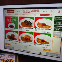 ココイチ香南野市店へ行こう