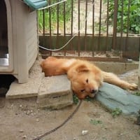 近況