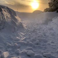 シンシンは積もる