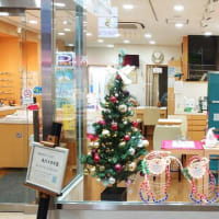 横浜 大口通商店街 糸川メガネで、クリスマス仕様に模様替えしました
