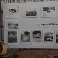 2026年沖縄旅　6/23与那国島