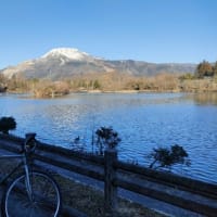 好天で少しチャリ乗る。-2025年1月26日