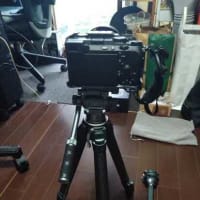 ようやくアリエクから届いたもの、その2・・・・。('◇')ゞ