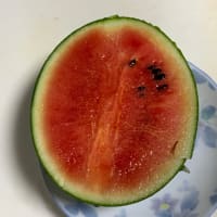 🍉スイカを食ったドー！＊7/5