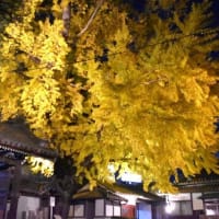 近所のスポット