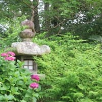 あじさい神苑から境内へ