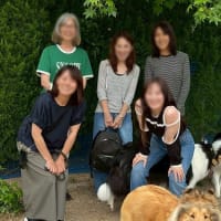 続シェリーちゃん、リンツ君、キリちゃん　お里帰り
