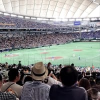 ジャイアンツ対横浜ベイスターズ