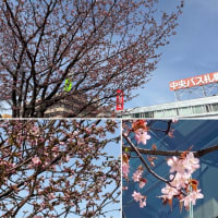 イベント後報告2025.4月と連休