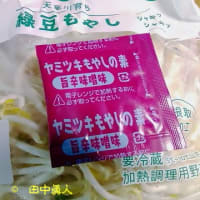 日清の冷凍台湾まぜそばに今だけ付いている旨辛味噌味のヤミツキもやしの素
