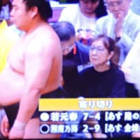 9/19 でも大の里は全勝　他に