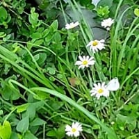お久しぶりの投稿です