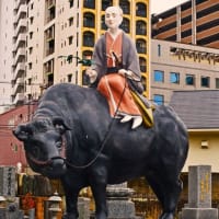 男装の女医、自由民権・反藩閥政府の国士を輩出