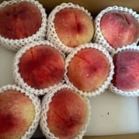 桃の季節到来