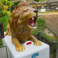 野毛山動物園見学