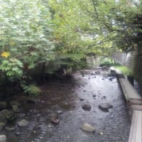 三島　源平川の遊歩道