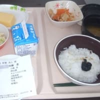 1泊2日無事帰還