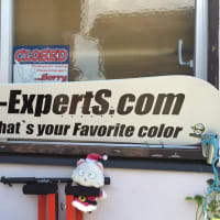 Paint Experts  Summer  Blake