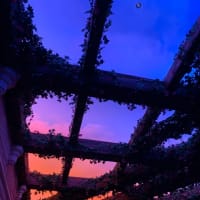 ディズニーランド2020.12