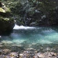 夏休み・家族旅行に一番おすすめする屋久島ガイドツアーは川遊び・沢登りツアーだ！