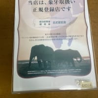 お買い得の象牙印鑑