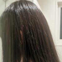 縮毛矯正をしました、夏休み明けてます