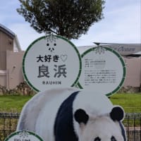アドベンチャーワールド