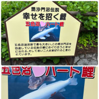 福島県会津磐梯山に来てます。