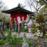 16年ぶりの常泉寺