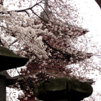 池上本門寺にて
