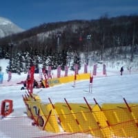競技スキーと学校スポーツ