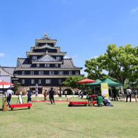 後楽園と岡山城を5月5日に見物して来たので見て下さい-------ともちゃんから画像投稿です