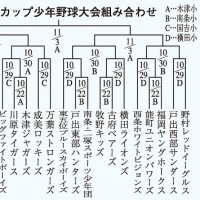 ドリームカップ組み合わせ決定