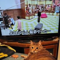涼しいを通り越して寒い～(＠_＠;)