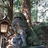 宮崎