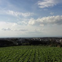 シグマ星人が見た風景