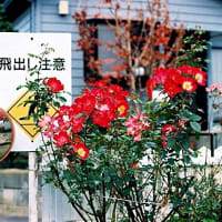 「飛出し注意」