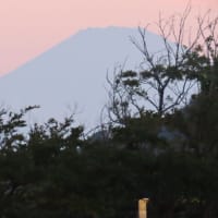 大磯プリンスホテルにて