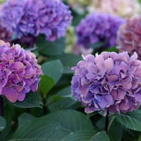 記事を更新しました！6月5日（木）
